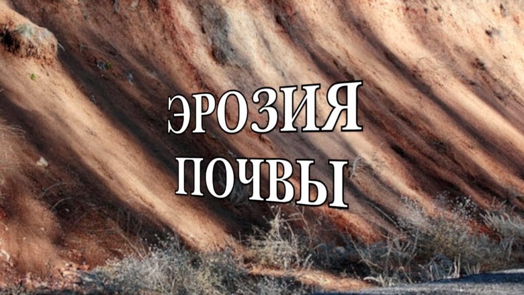 Что способствует эрозии почвы?