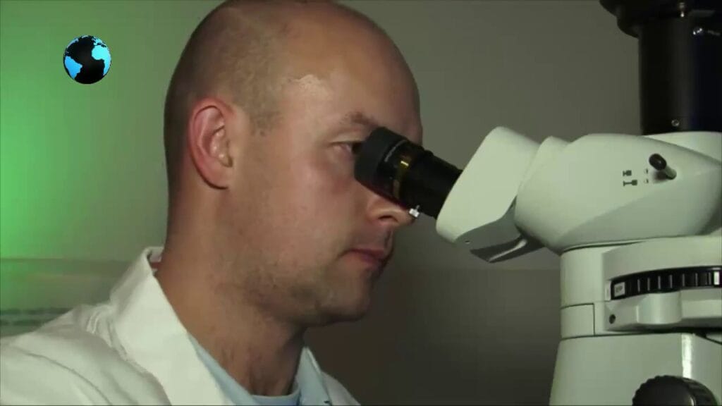 Что такое биоразнообразие для детей?