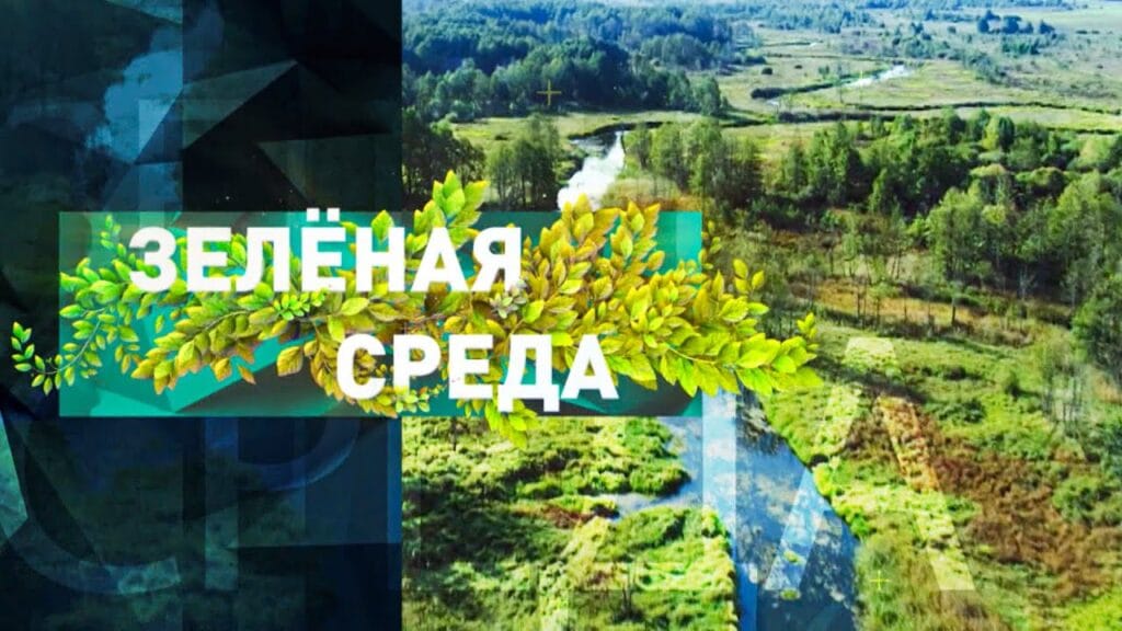 Что такое инвазивные виды простыми словами?