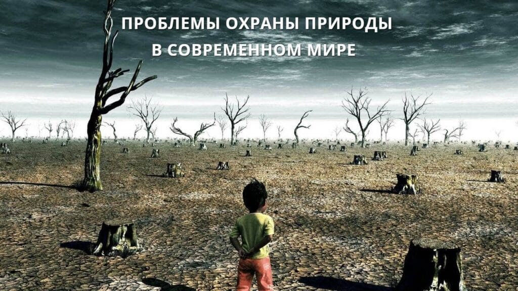 Что угрожает биоразнообразию?