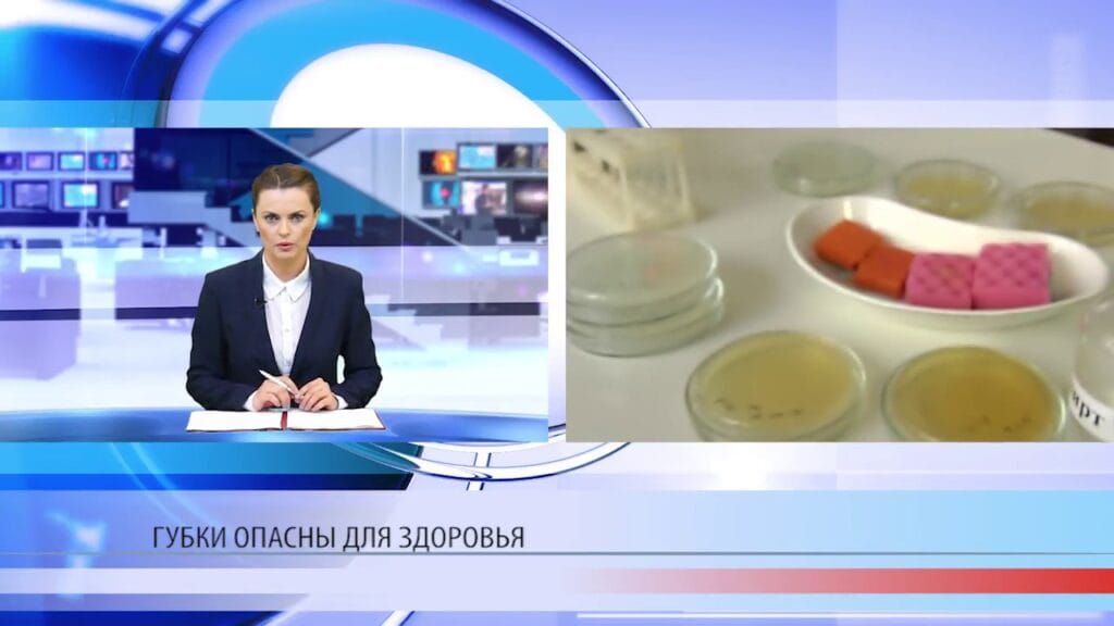 Как долго разлагается губка для посуды?