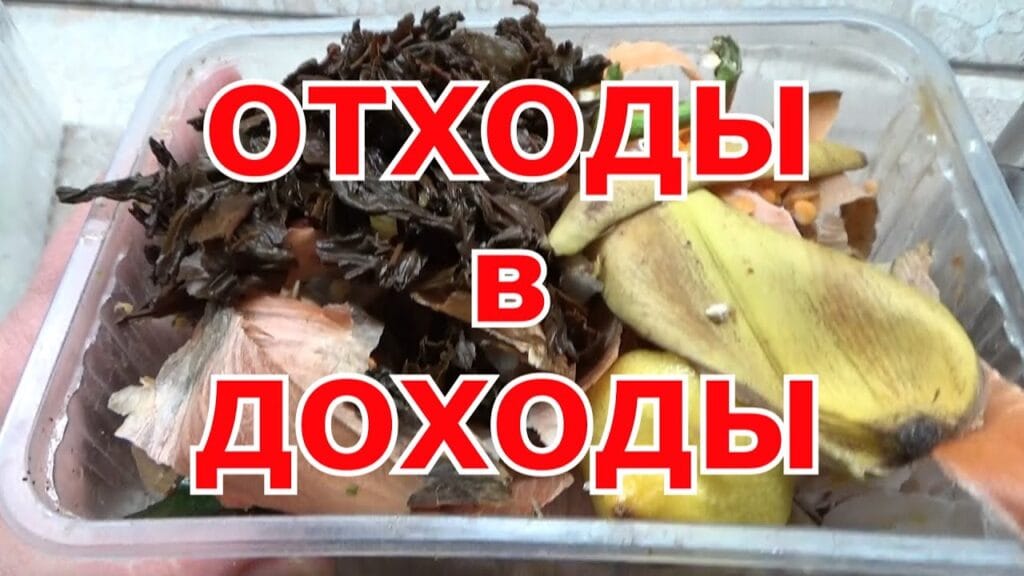 Как лучше всего компостировать пищевые отходы?