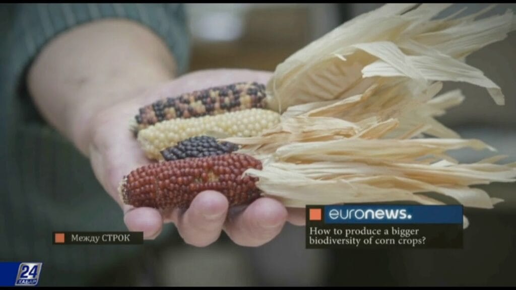 Как можно сократить потребление природных ресурсов?