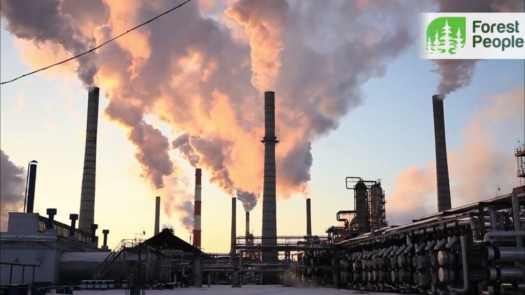 Как определить углеродный след?