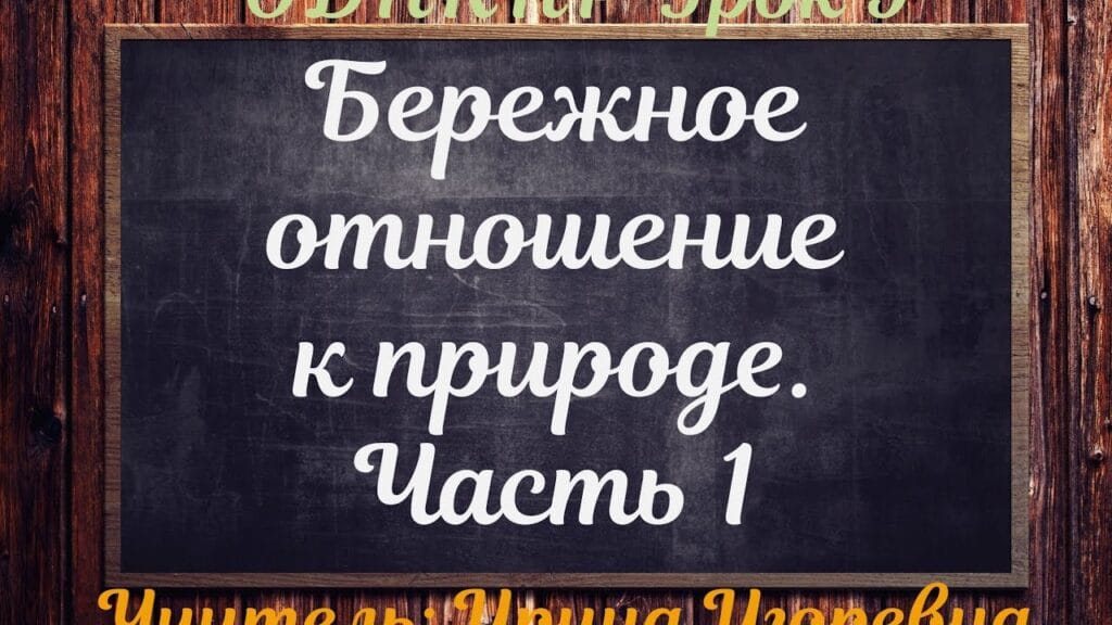 Как воспитать бережное отношение к природе?