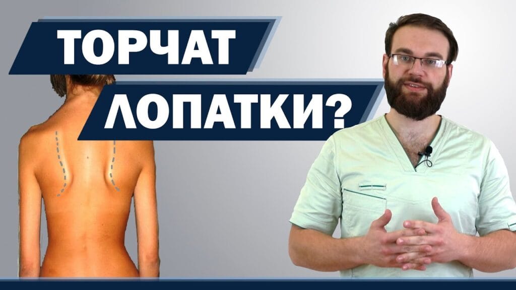 Какая лопатка подходит для антипригарной сковороды?