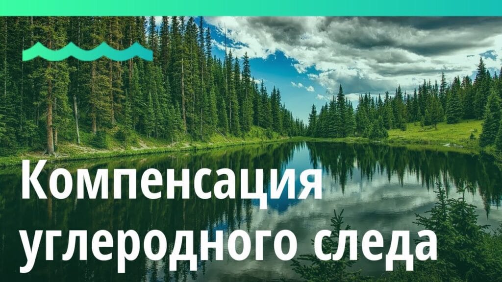 Какая плата за компенсацию вашего углеродного следа?