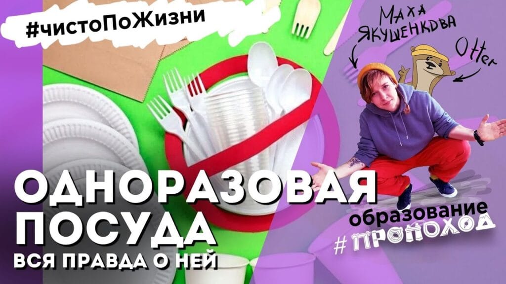 Какая посуда экологически чистая?