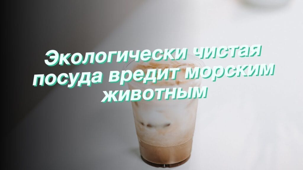 Какая посуда самая экологически чистая?