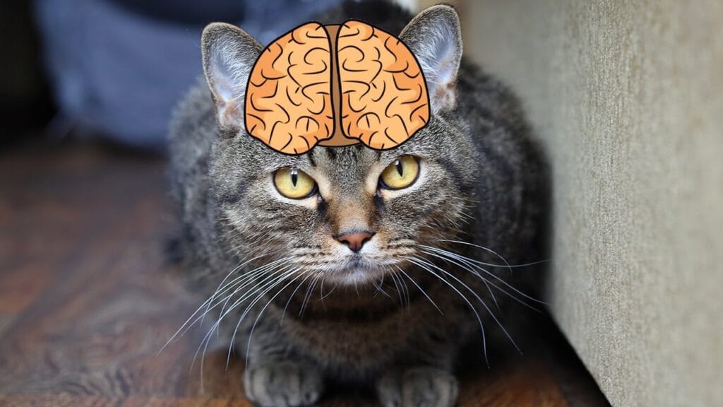 Какие бывают типы памяти?