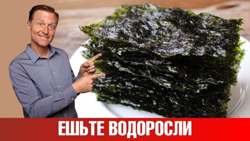 Какие вещи делают из водорослей?