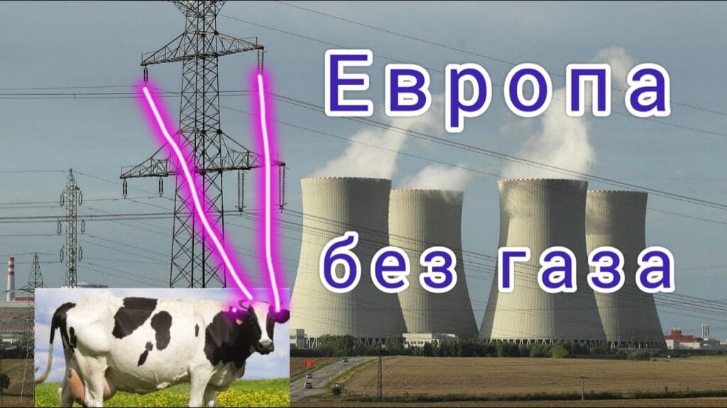 Какие виды альтернативного топлива существуют?