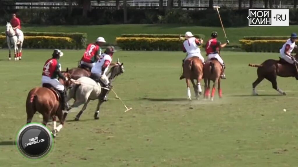 Какие виды спорта принимают участие в Олимпийских играх?