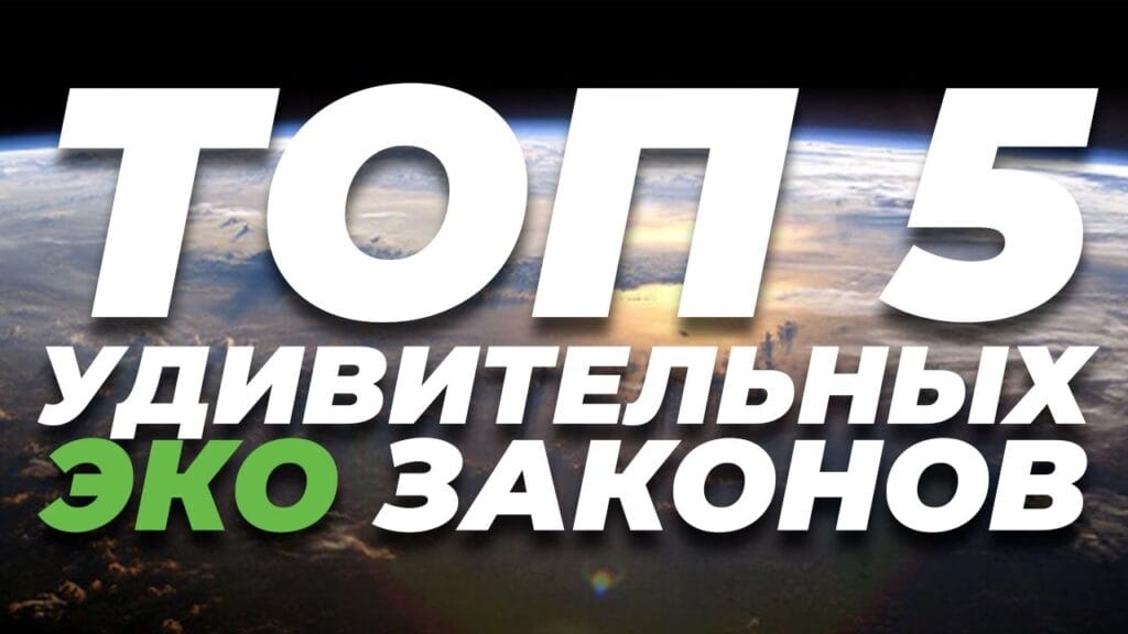 Какие законы защищают окружающую среду?
