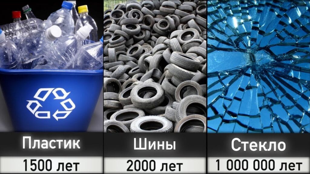 Какой материал разлагается быстрее всего?