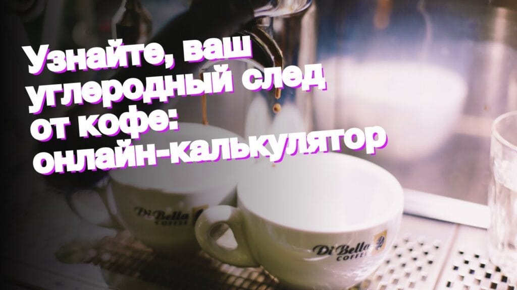 Каков углеродный след товара?