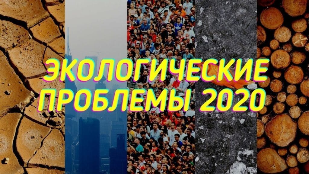 Каковы основные причины возникновения экологических проблем?