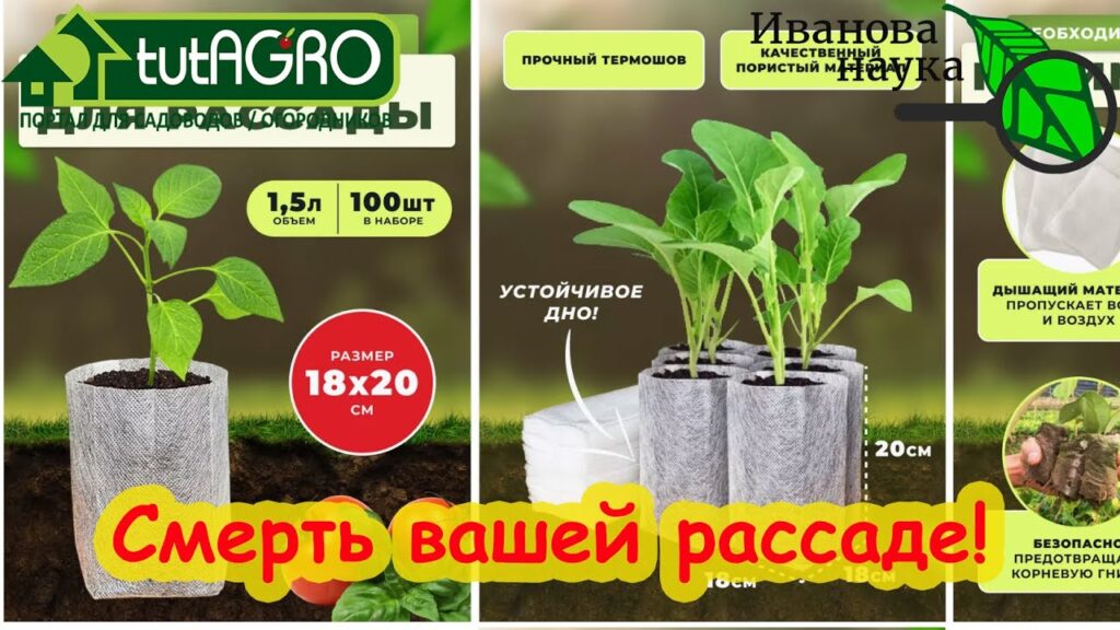 Что лучше: компостируемый или биоразлагаемый?