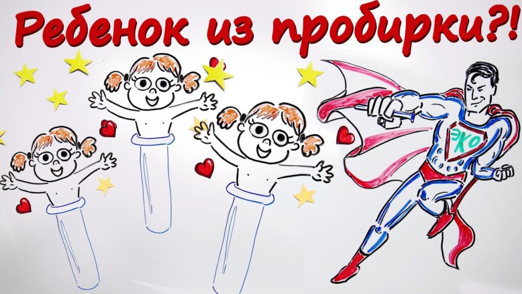 Что значит экологичность простыми словами?