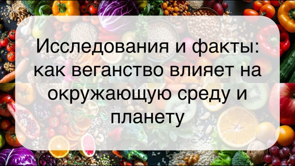 Как продукция влияет на окружающую среду?