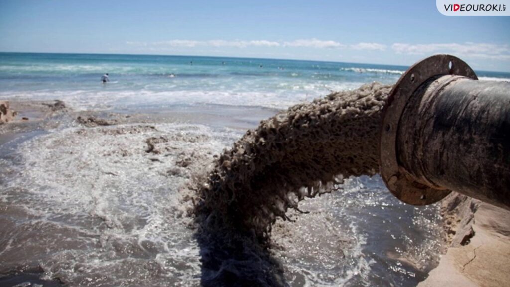 Как уменьшить отрицательное влияние на окружающую среду?