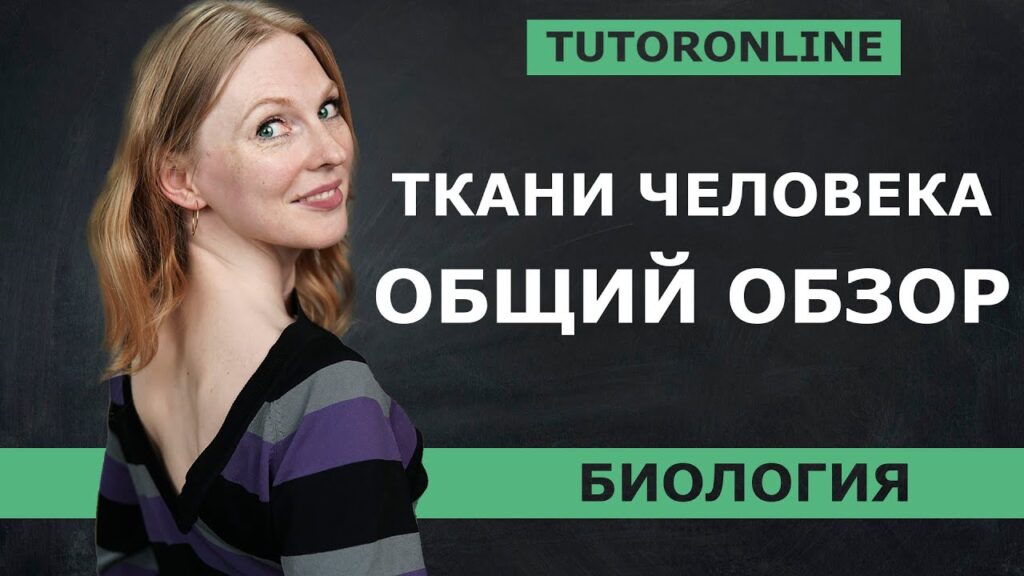 Какие 4 типа ткани выделяют?