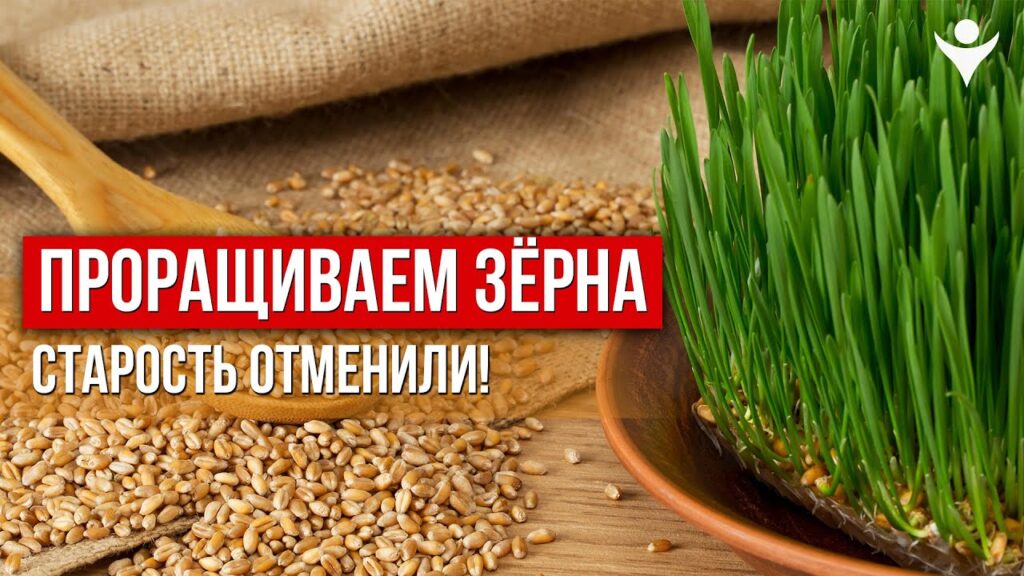 Какие есть примеры экологически чистых продуктов?
