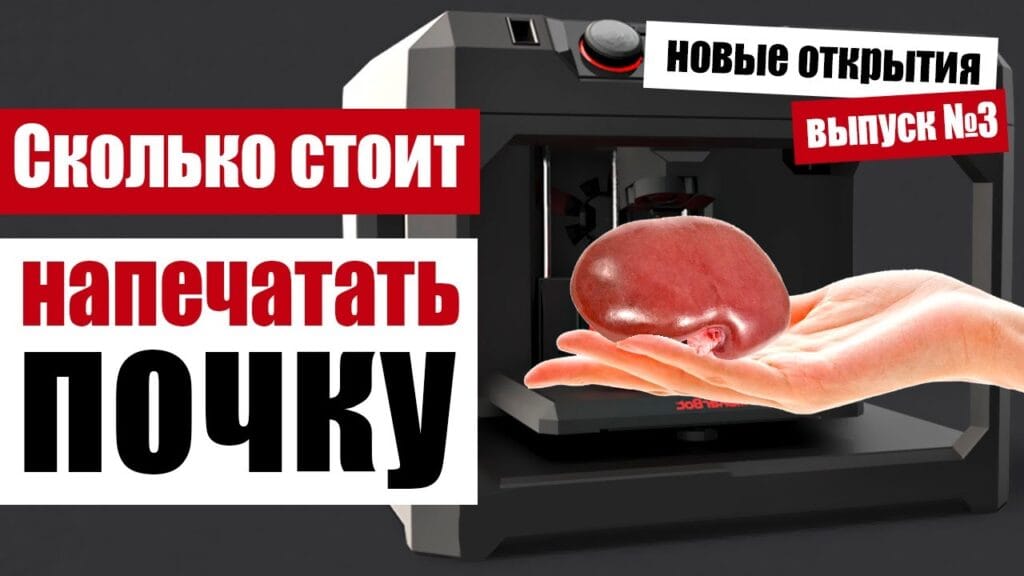 Можно ли напечатать человеческие органы на 3D-принтере?