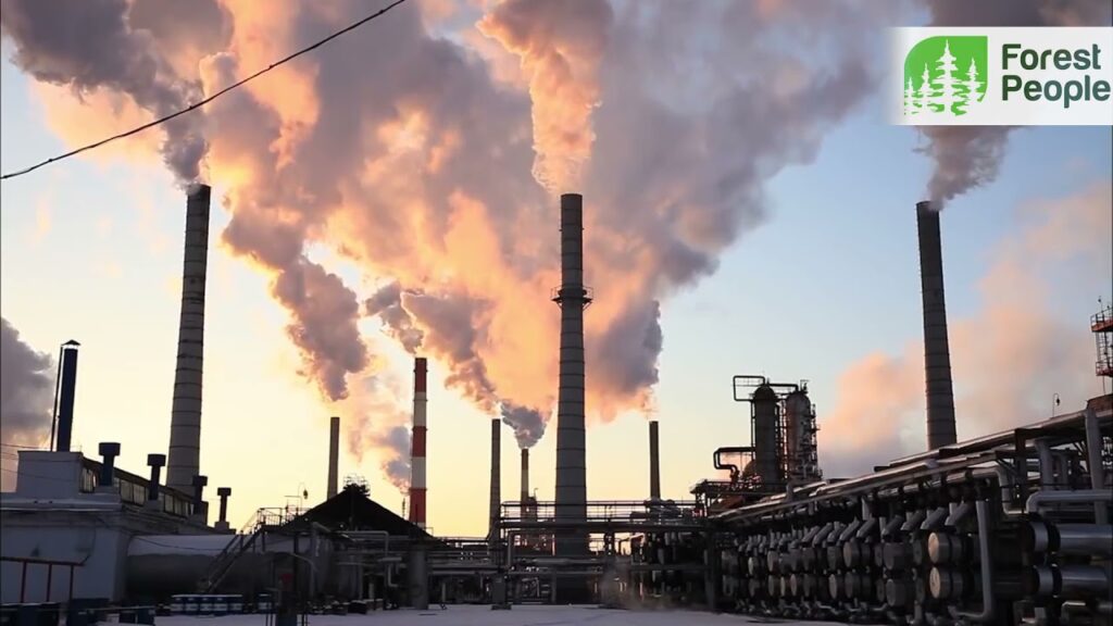 Что можно сделать для уменьшения углеродного следа?