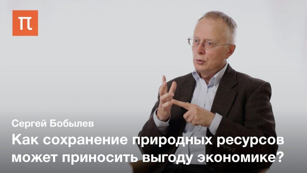 Что обеспечивает устойчивое развитие?