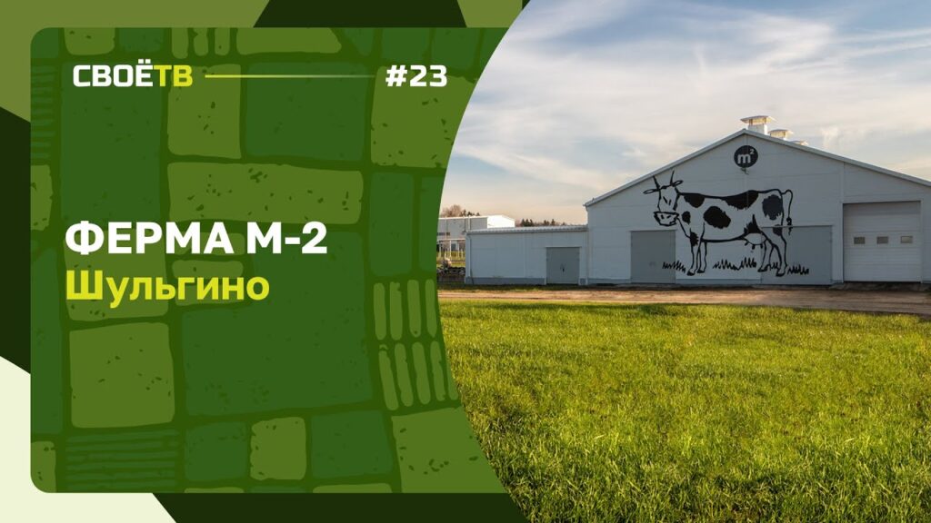Что такое экологически чистая продукция?