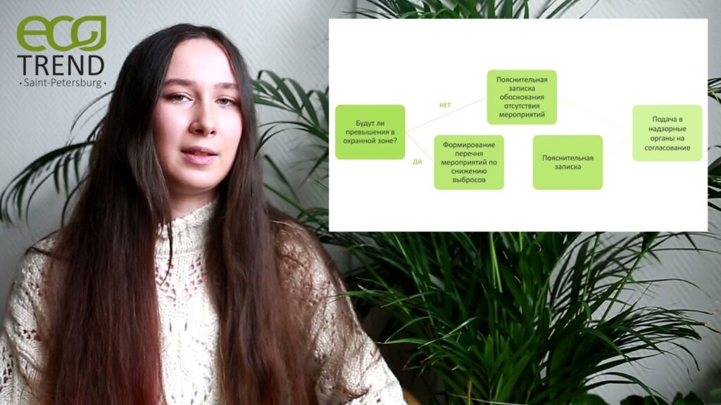Что такое экологические стандарты?