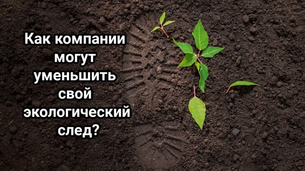 Как можно уменьшить экологический след?