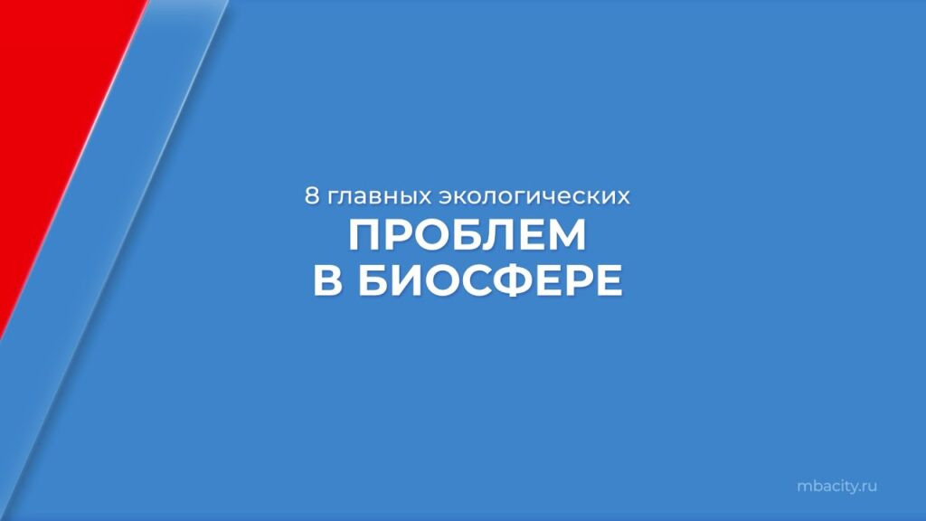 Как мы можем использовать технологии для решения экологических проблем?