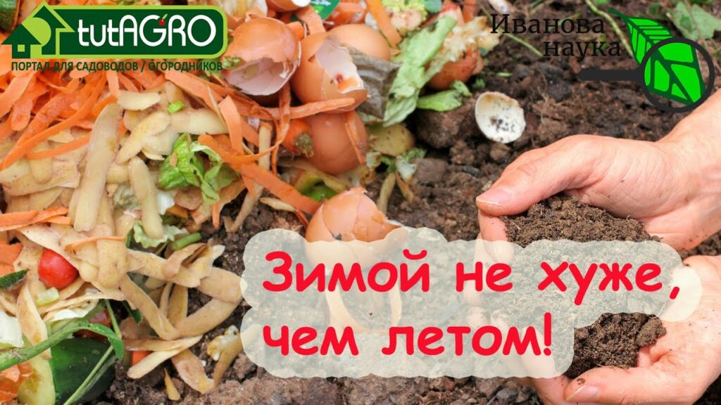 Как предотвратить пищевые отходы?