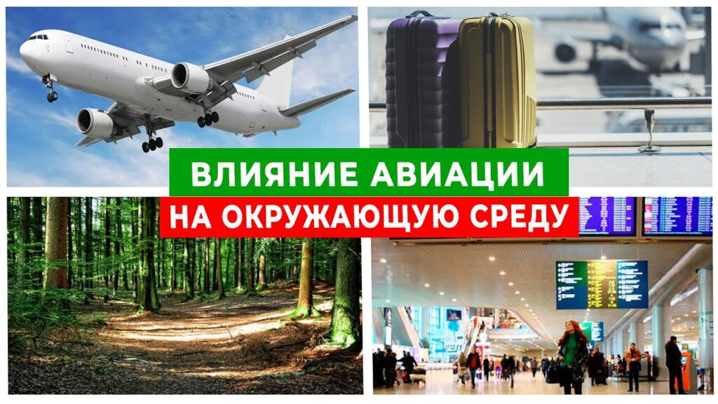 Как транспорт влияет на загрязнение воздуха?