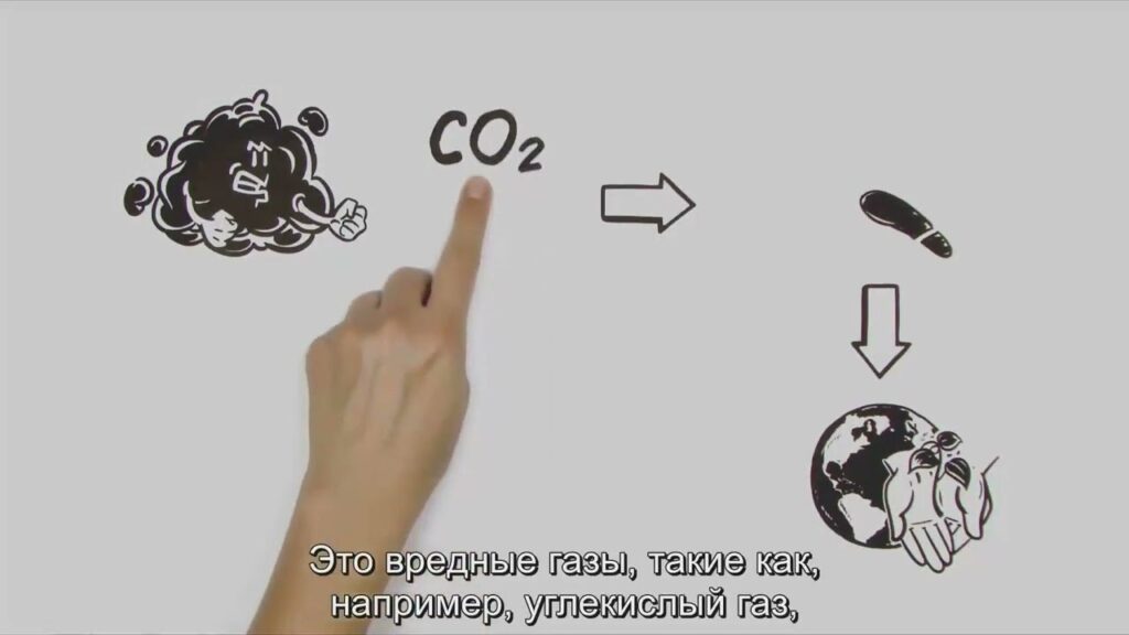 Каков углеродный след продукта?