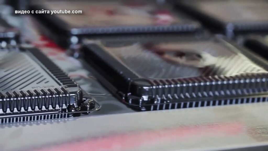 Можно ли запретить одноразовую посуду в России?