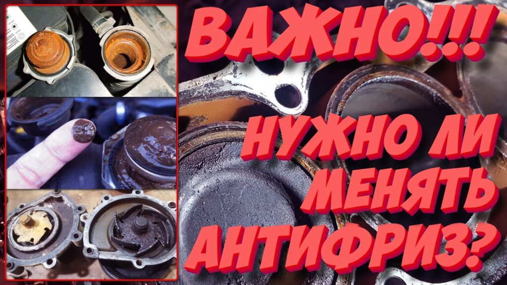 Сколько лет можно не менять антифриз?